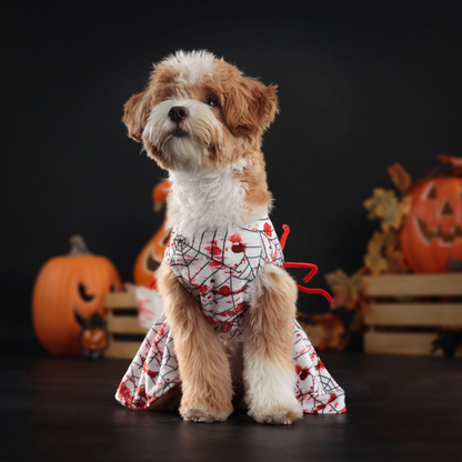 Halloween Blood Spider Pet Dog Skirt