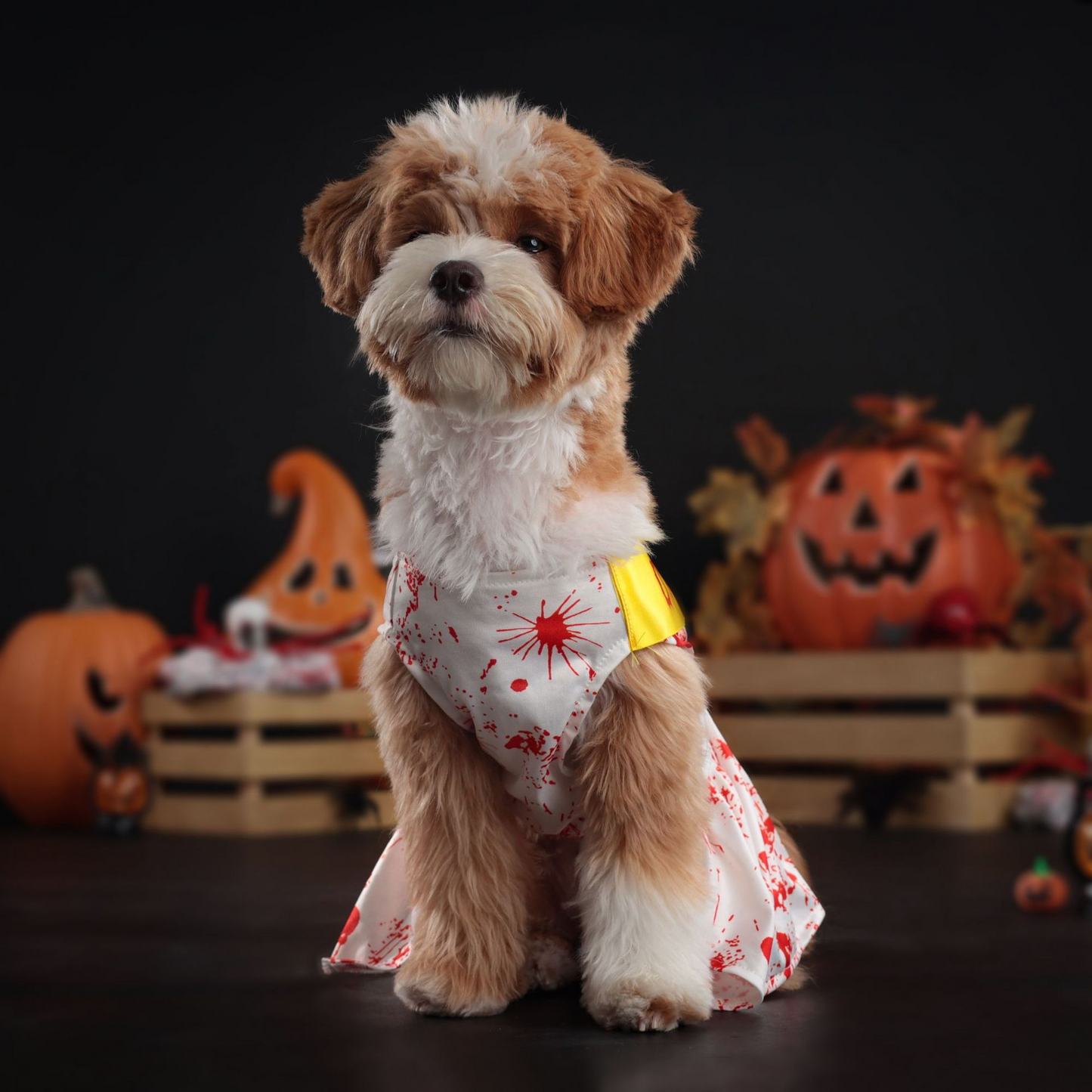 Halloween Blood Spider Pet Dog Skirt