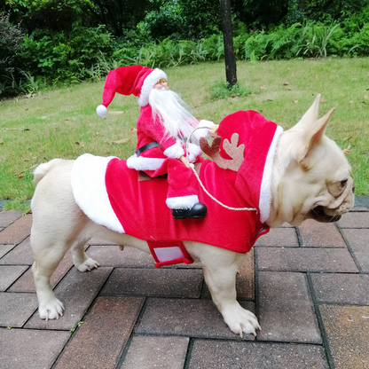 Déguisement de citrouille d'horreur pour chien d'Halloween