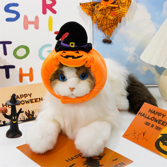 Chapeau de citrouille amusant pour animaux de compagnie pour Halloween